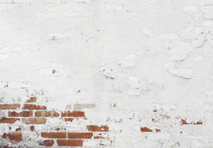 Vendita-idropitture-lavabili